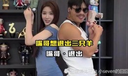 歌星离婚爆料事件视频播放,揭秘娱乐圈婚姻真相